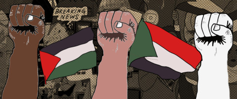 Palestine Liberation series | Transnational Institute